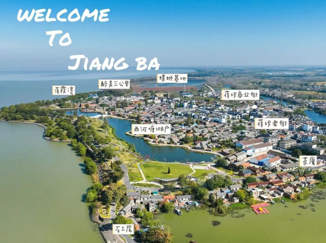 Top1����רҵ������Ѷ����������ƽ̨