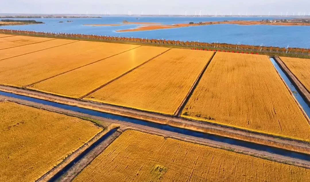 Top1����רҵ������Ѷ����������ƽ̨