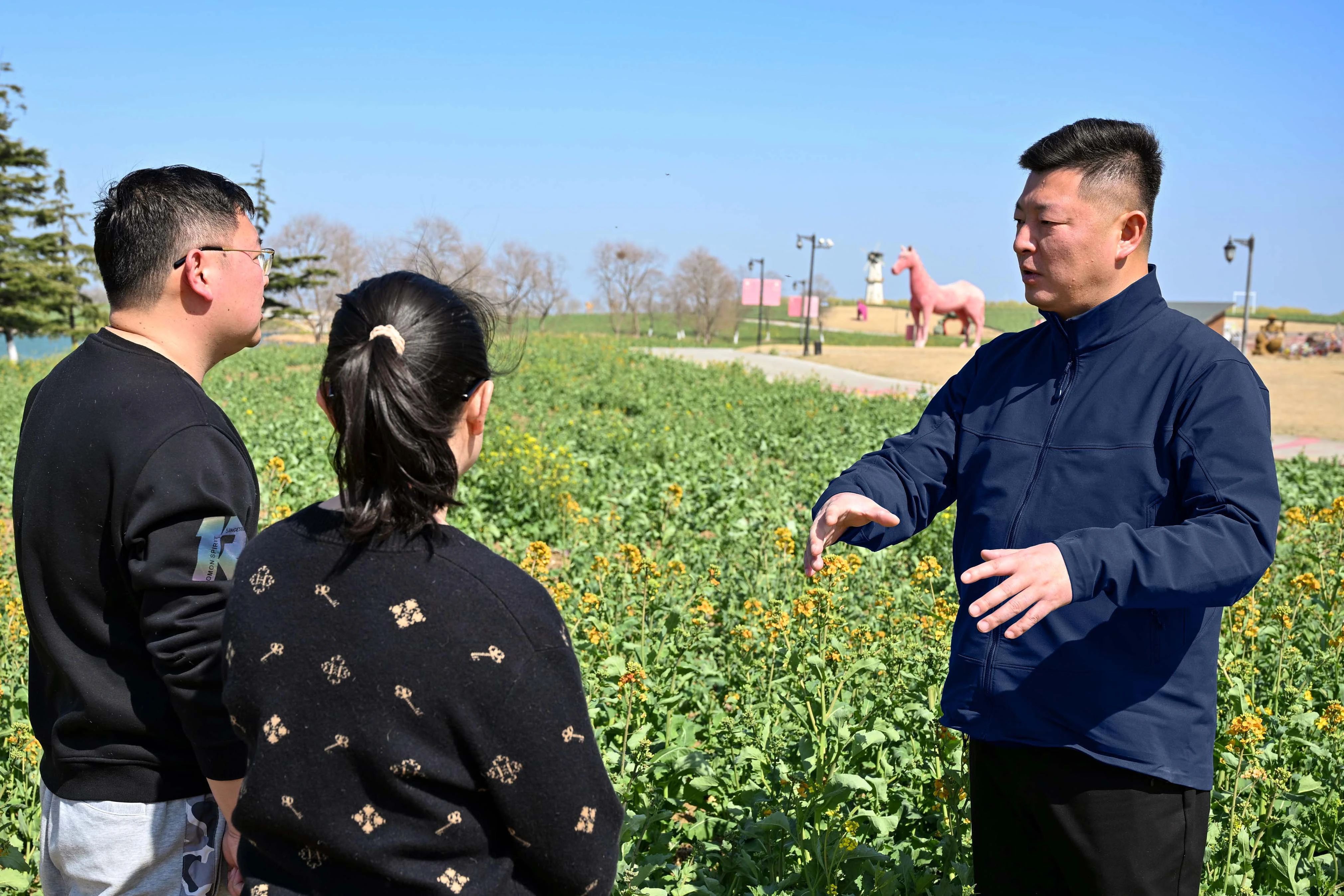 Top1����רҵ������Ѷ����������ƽ̨