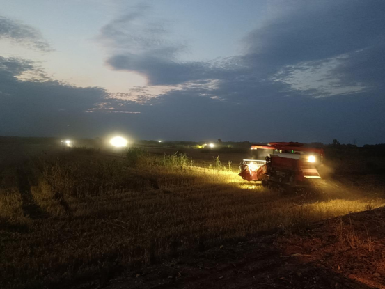 Top1����רҵ������Ѷ����������ƽ̨