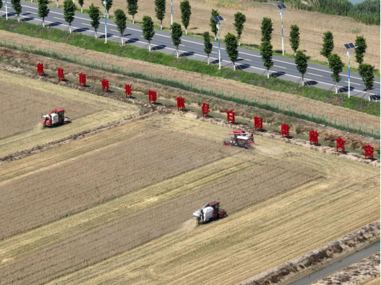 Top1ÌåÓýרҵÌåÓý×ÊѶÓëÈüÊÂÆÊÎöƽ̨