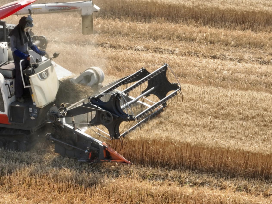 Top1����רҵ������Ѷ����������ƽ̨