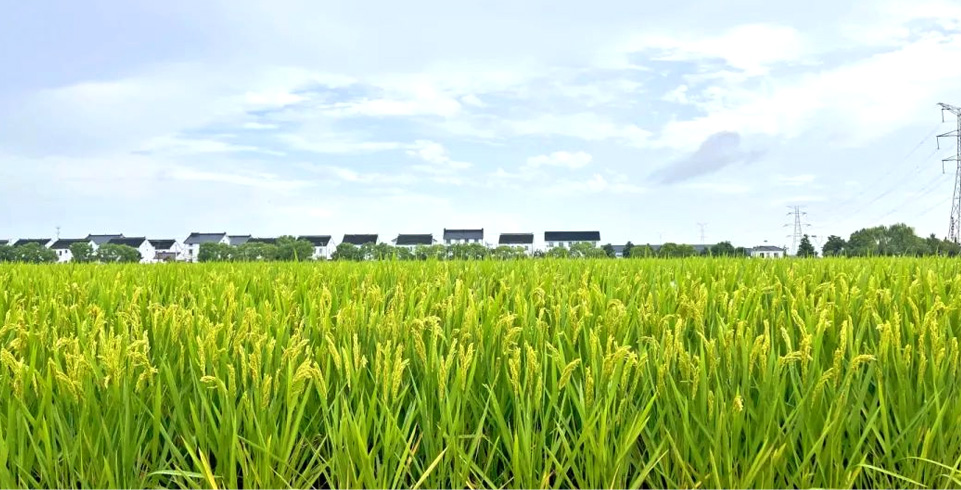 Top1����רҵ������Ѷ����������ƽ̨