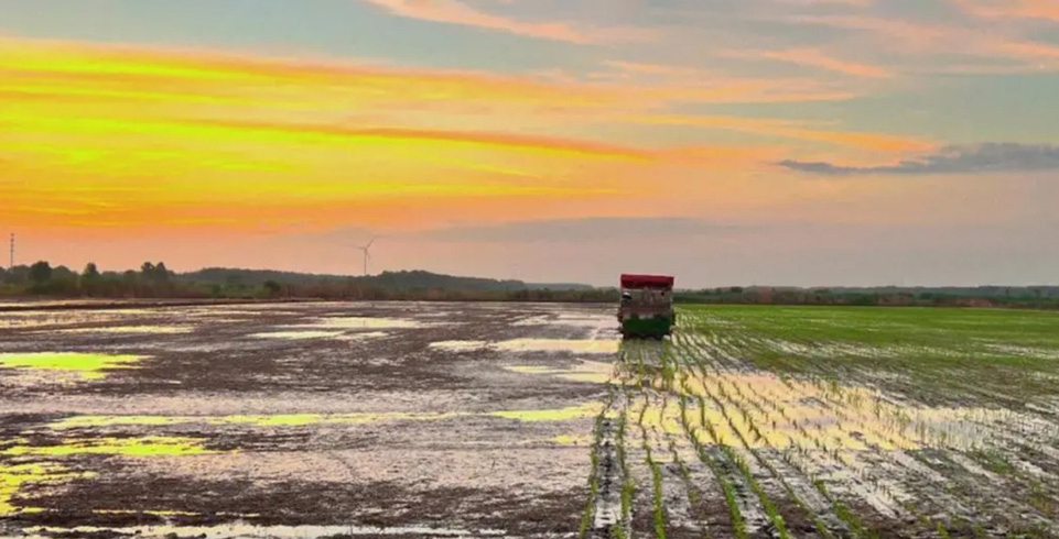 Top1����רҵ������Ѷ����������ƽ̨