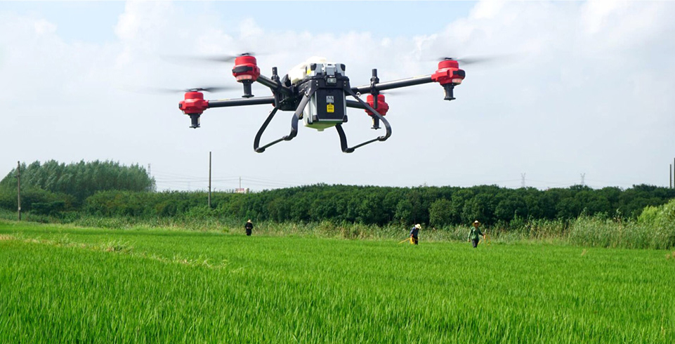 Top1����רҵ������Ѷ����������ƽ̨