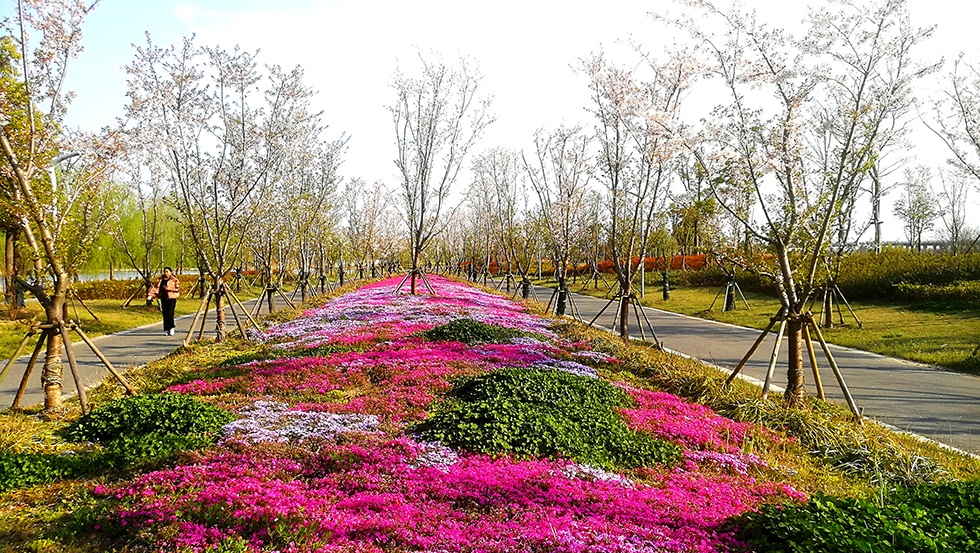 Top1����רҵ������Ѷ����������ƽ̨