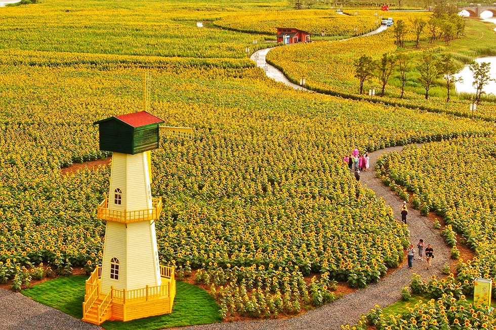 Top1����רҵ������Ѷ����������ƽ̨