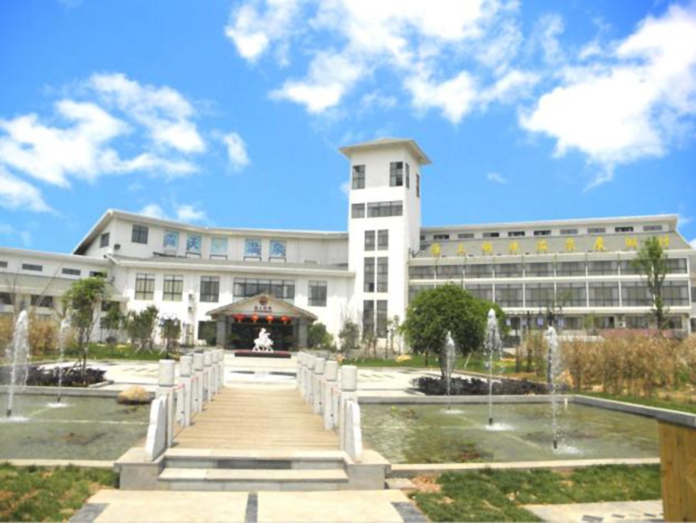 Top1����רҵ������Ѷ����������ƽ̨