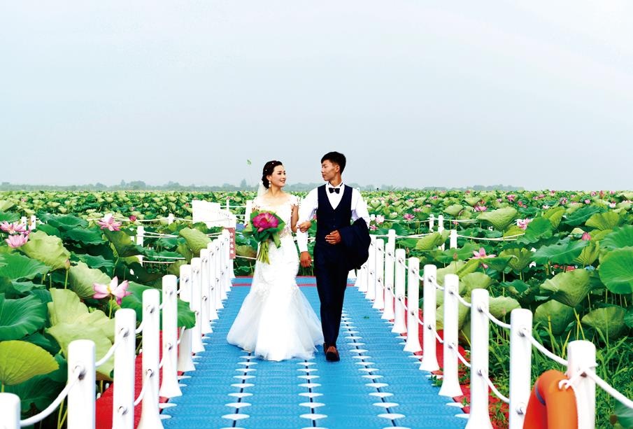 Top1����רҵ������Ѷ����������ƽ̨