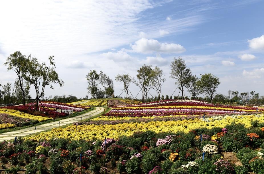 ��ѧ������