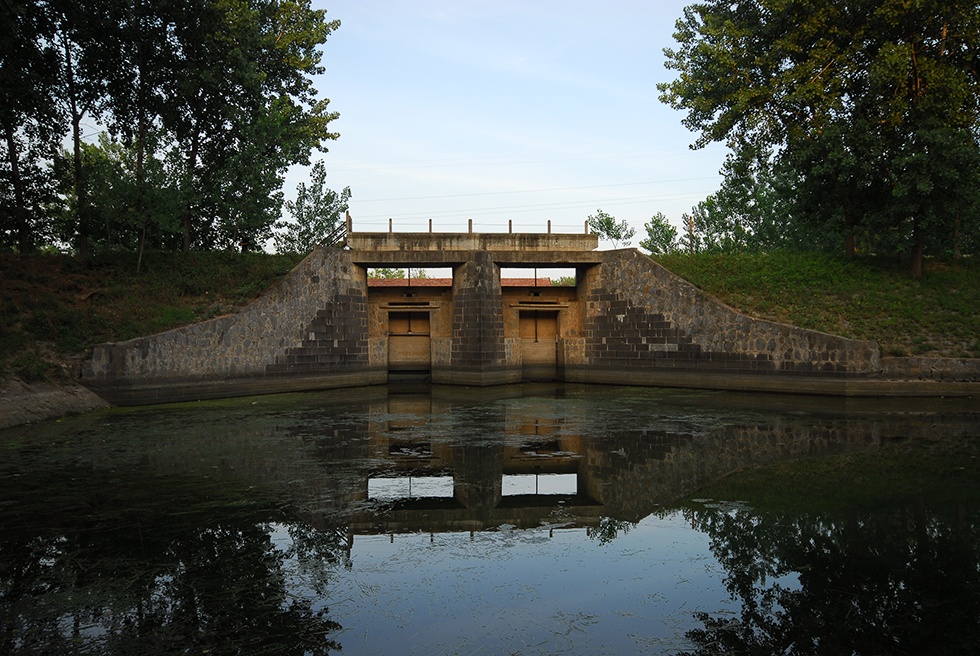 Top1����רҵ������Ѷ����������ƽ̨