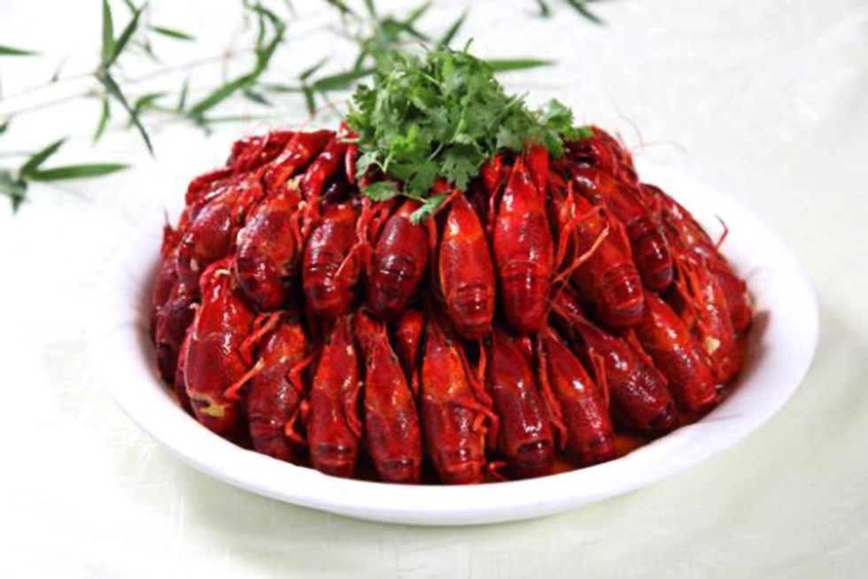 Top1����רҵ������Ѷ����������ƽ̨