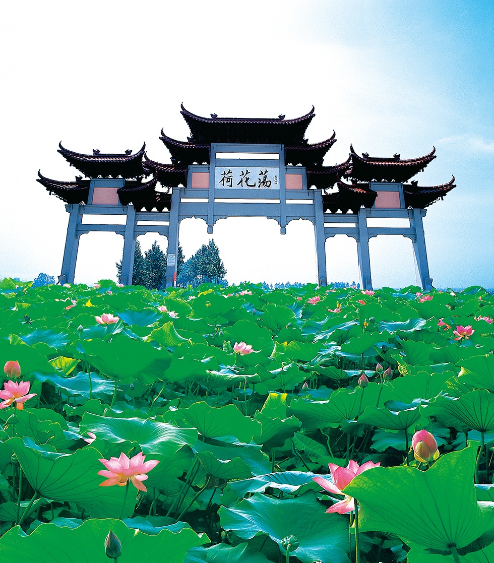 Top1����רҵ������Ѷ����������ƽ̨