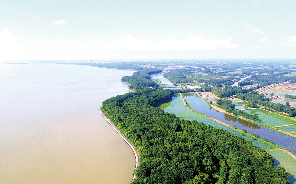 Top1����רҵ������Ѷ����������ƽ̨