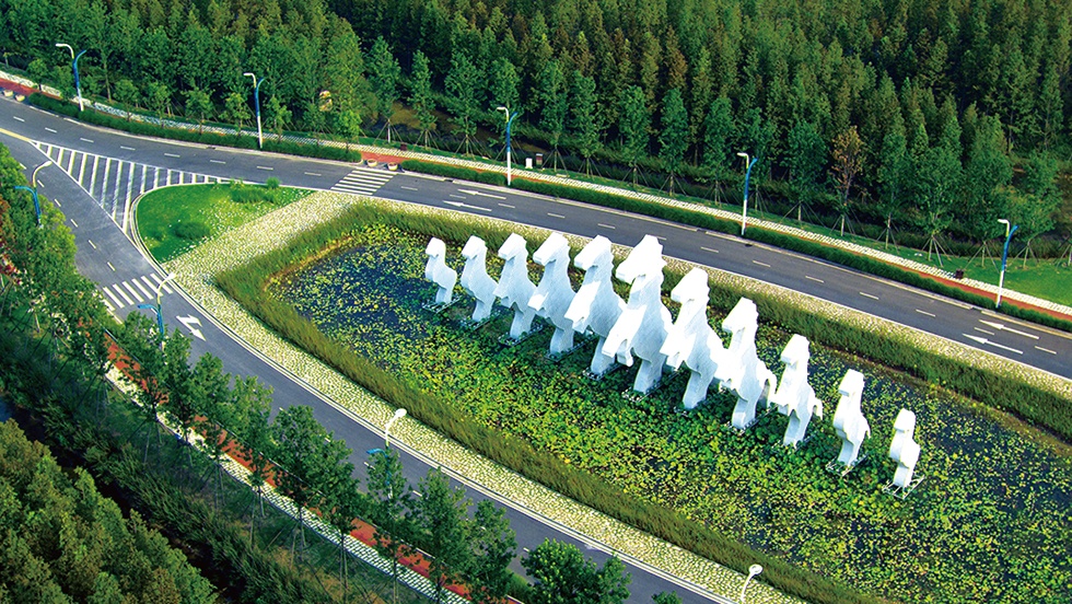 Top1����רҵ������Ѷ����������ƽ̨