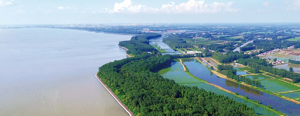 Top1����רҵ������Ѷ����������ƽ̨