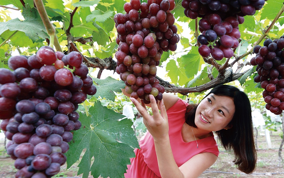 Top1����רҵ������Ѷ����������ƽ̨