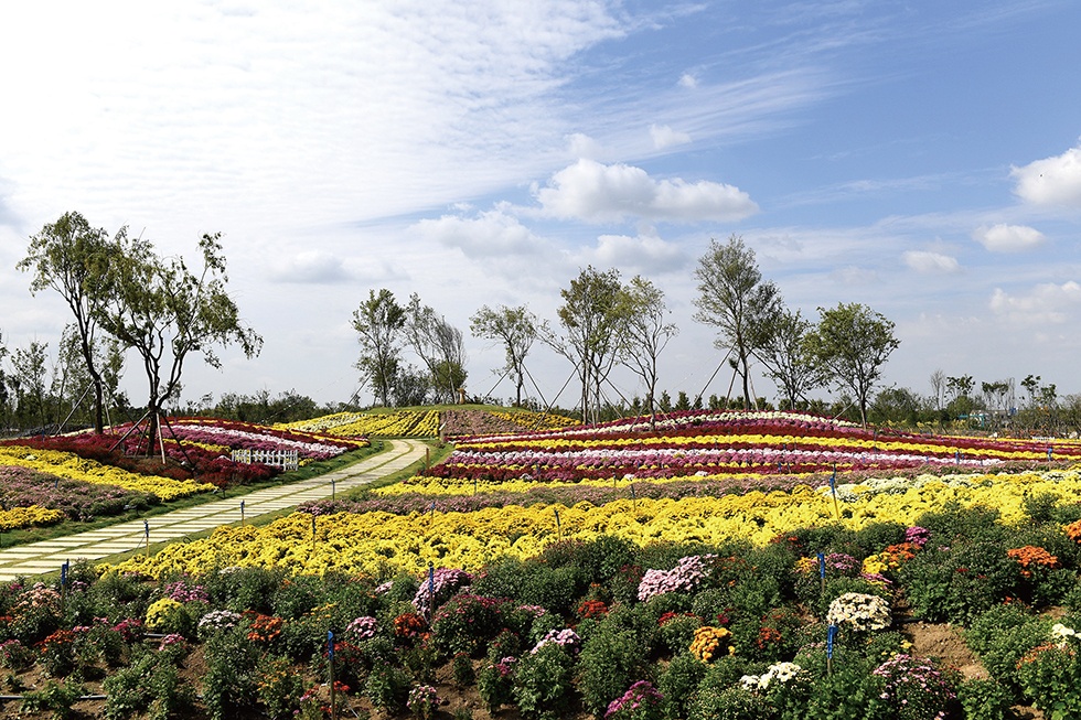 Top1����רҵ������Ѷ����������ƽ̨