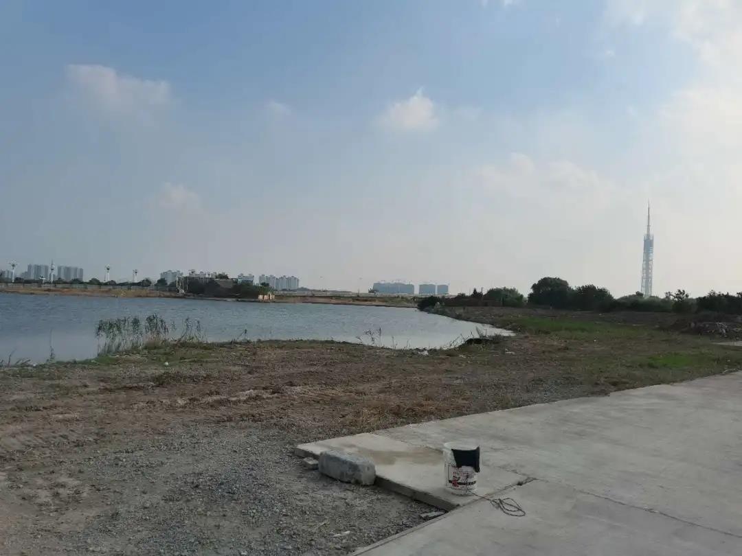 Top1����רҵ������Ѷ����������ƽ̨