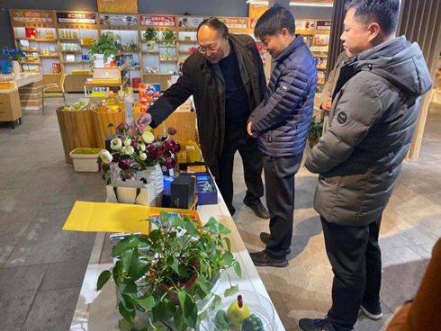 Top1����רҵ������Ѷ����������ƽ̨