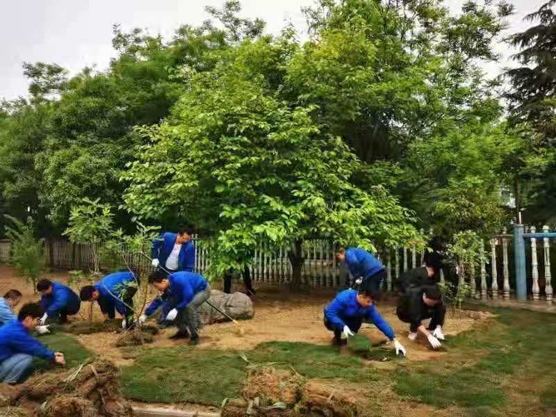 Top1����רҵ������Ѷ����������ƽ̨