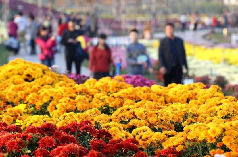 Top1����רҵ������Ѷ����������ƽ̨