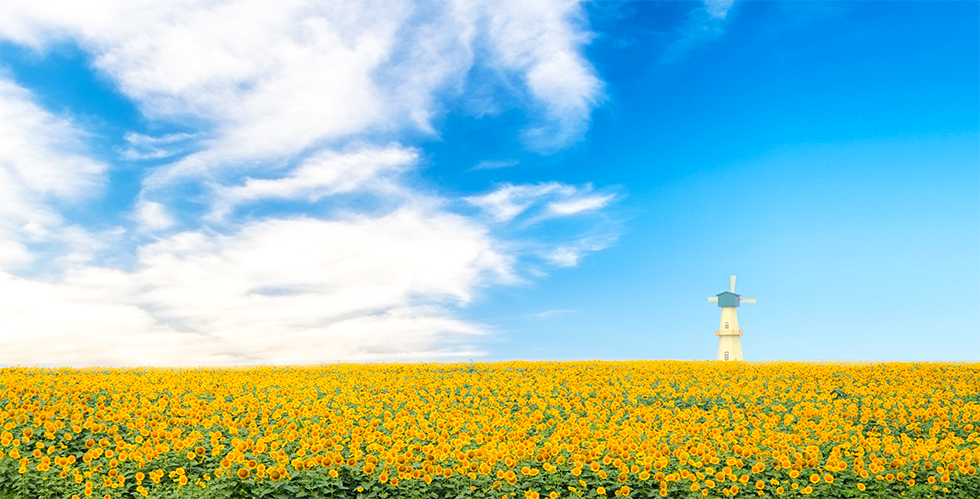 Top1����רҵ������Ѷ����������ƽ̨