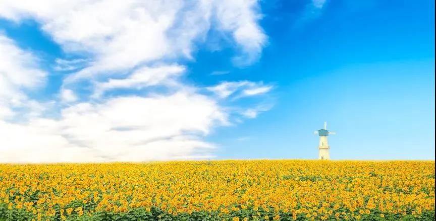 Top1����רҵ������Ѷ����������ƽ̨