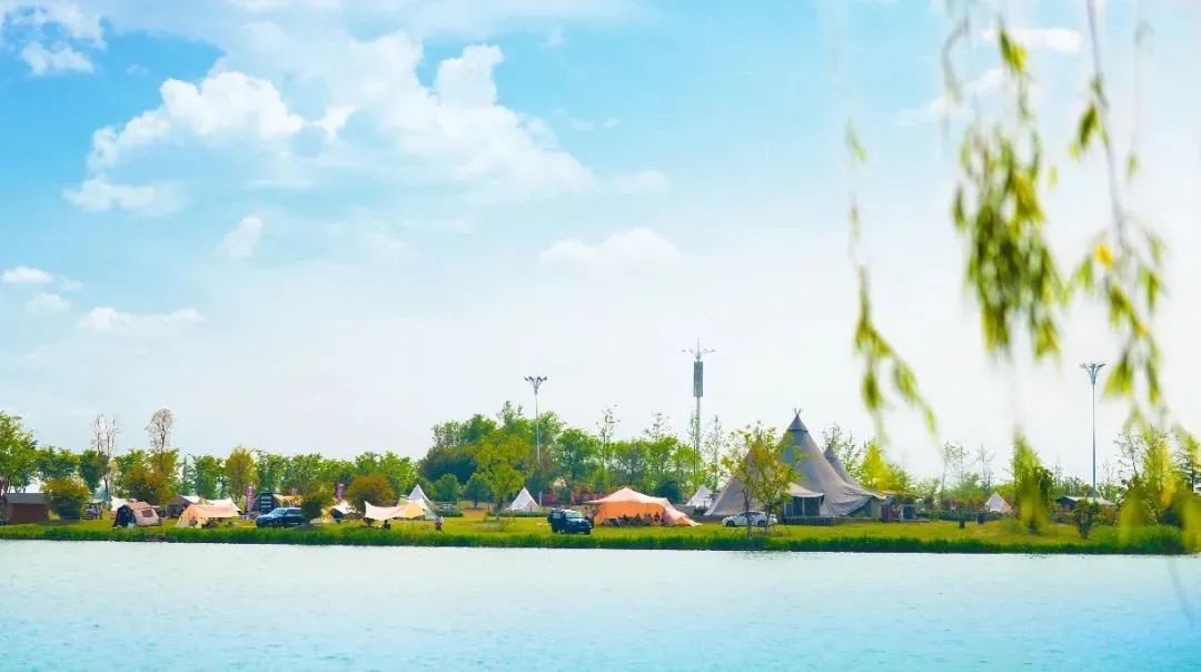 Top1����רҵ������Ѷ����������ƽ̨