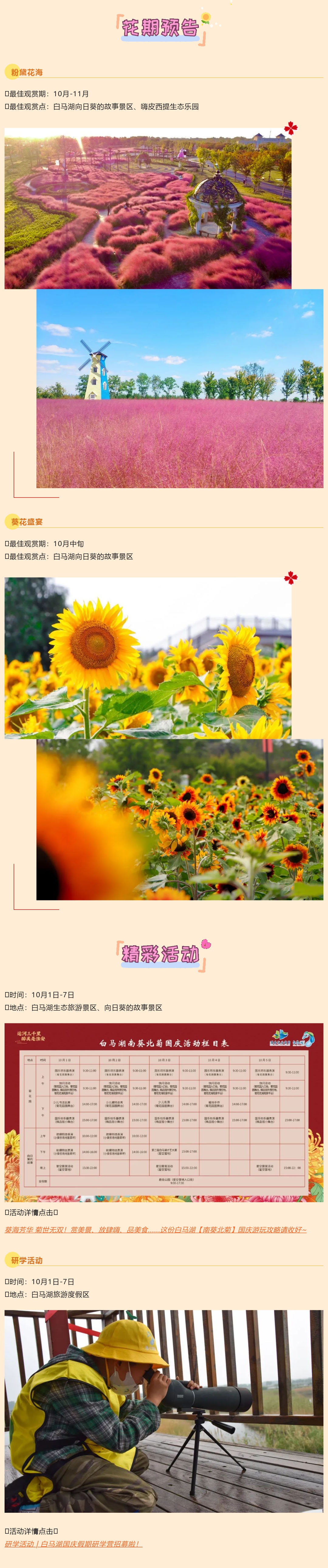 Top1����רҵ������Ѷ����������ƽ̨