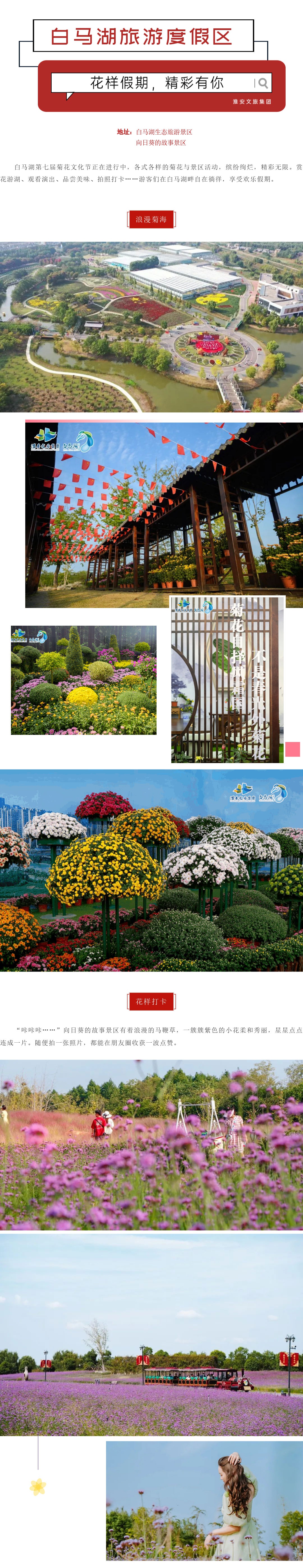 Top1����רҵ������Ѷ����������ƽ̨