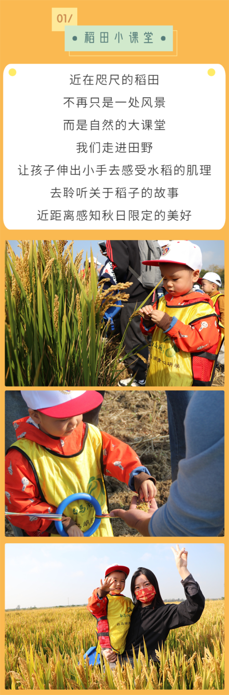 Top1����רҵ������Ѷ����������ƽ̨