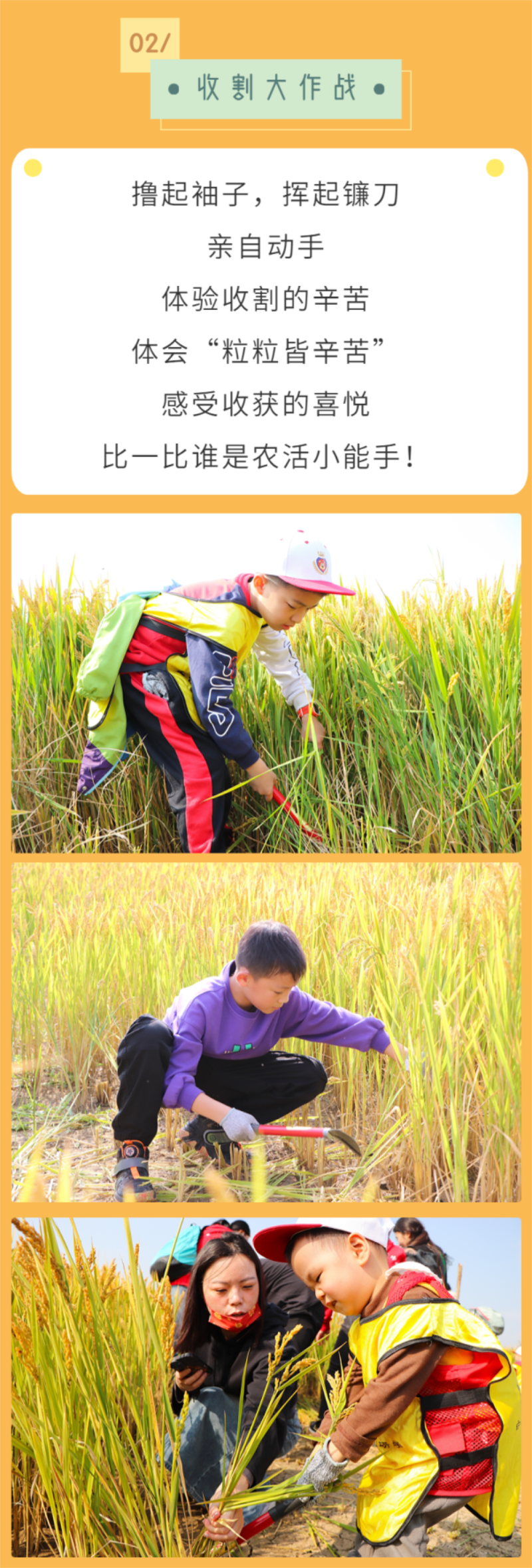 Top1����רҵ������Ѷ����������ƽ̨