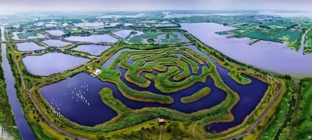 Top1����רҵ������Ѷ����������ƽ̨