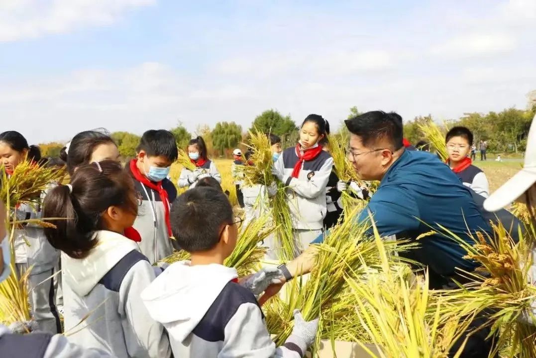 Top1����רҵ������Ѷ����������ƽ̨