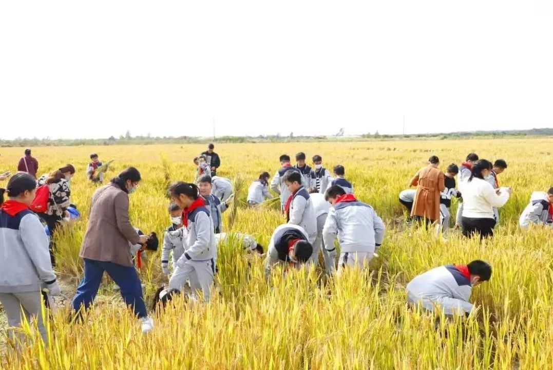 Top1����רҵ������Ѷ����������ƽ̨