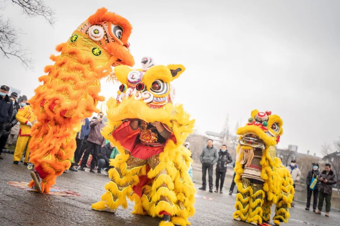 Top1����רҵ������Ѷ����������ƽ̨