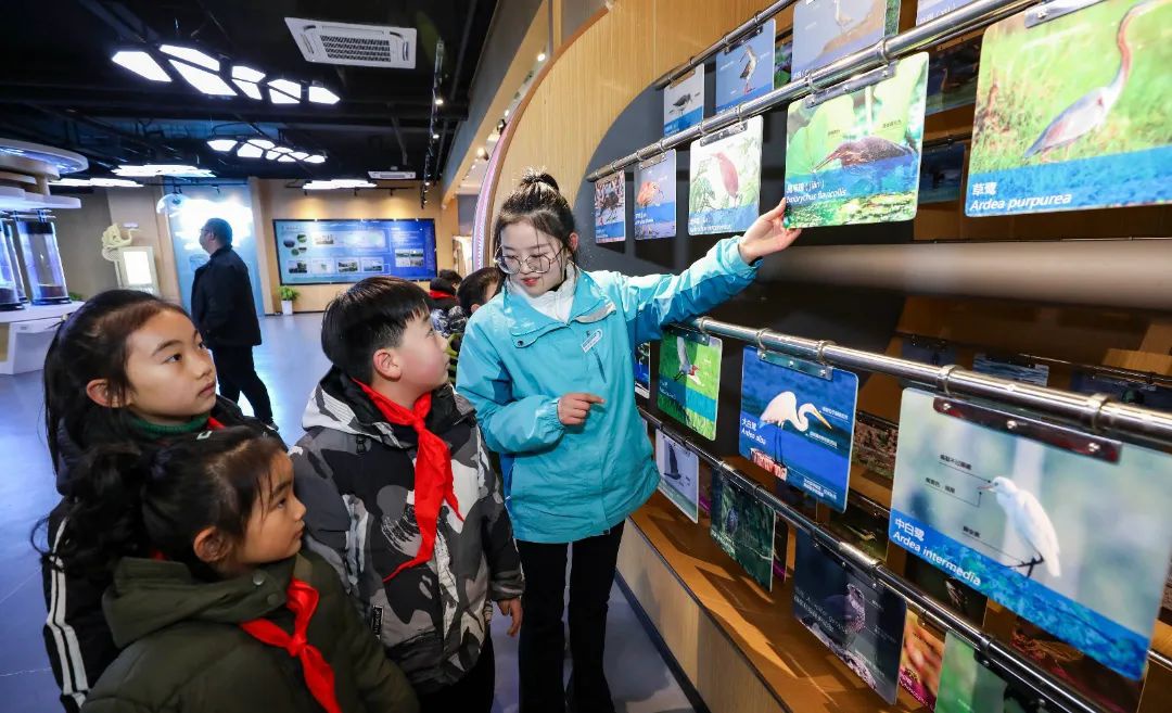 Top1����רҵ������Ѷ����������ƽ̨