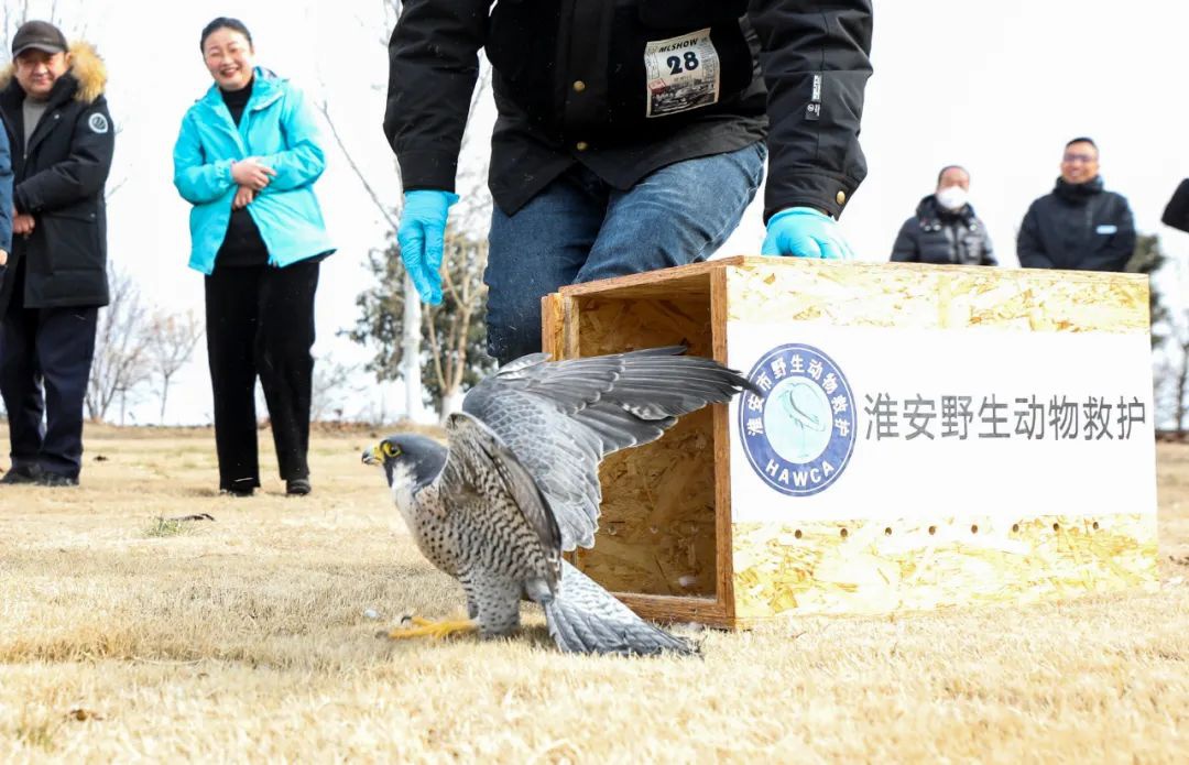 Top1����רҵ������Ѷ����������ƽ̨