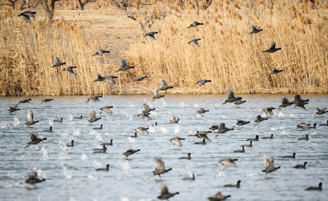 Top1����רҵ������Ѷ����������ƽ̨