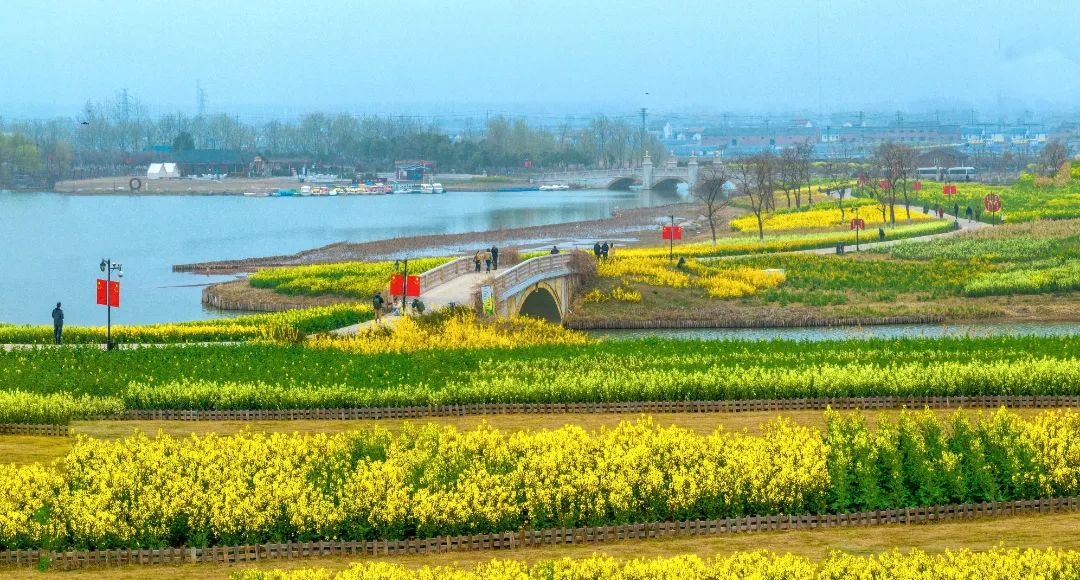 Top1����רҵ������Ѷ����������ƽ̨