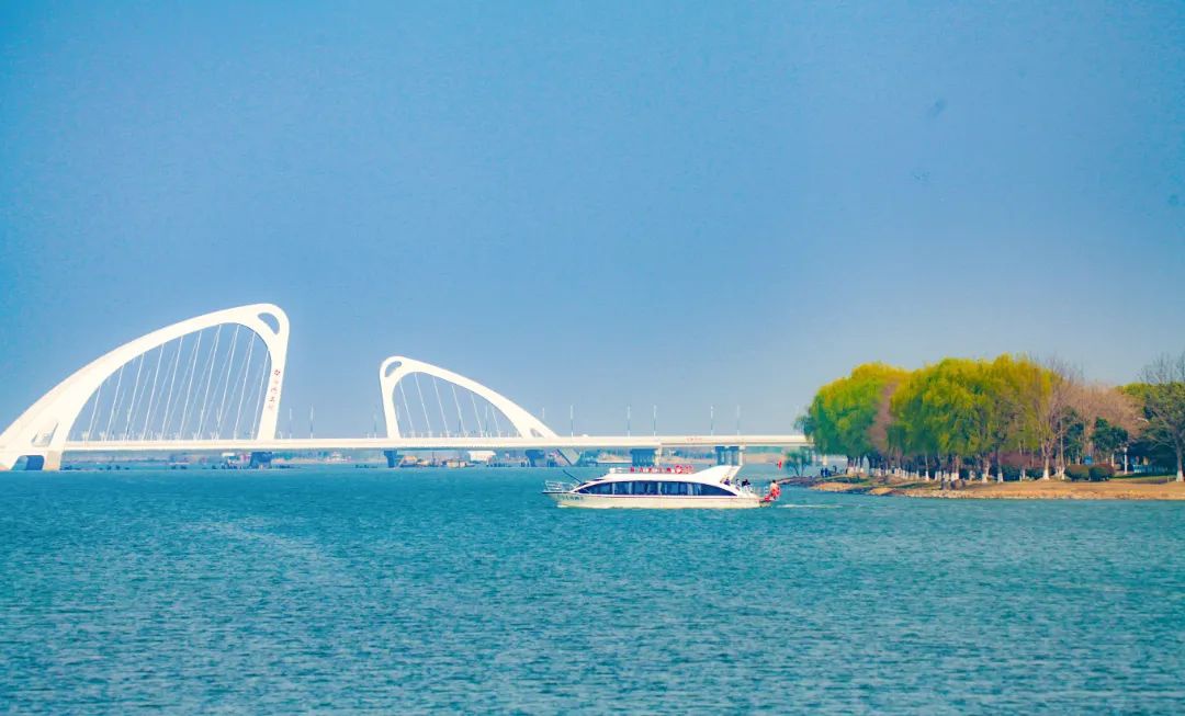 Top1����רҵ������Ѷ����������ƽ̨