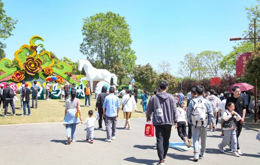 Top1体育专业体育资讯与赛事剖析平台