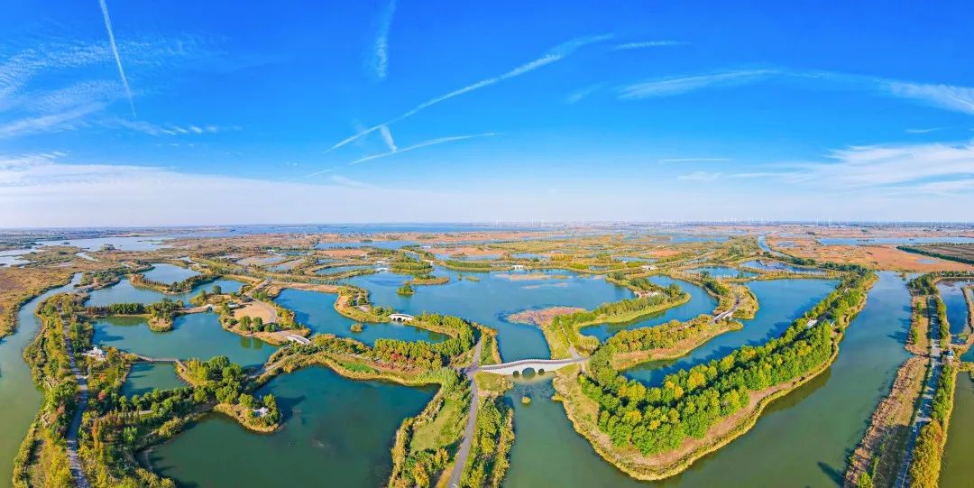 Top1����רҵ������Ѷ����������ƽ̨