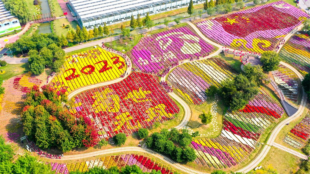 Top1����רҵ������Ѷ����������ƽ̨