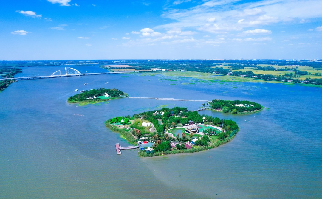 Top1����רҵ������Ѷ����������ƽ̨