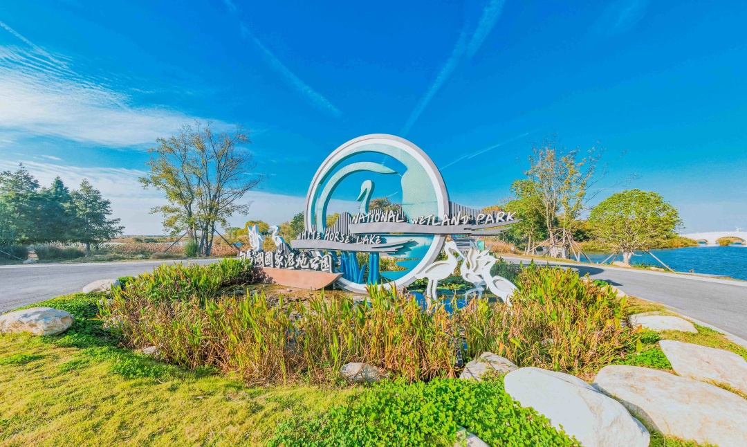 Top1����רҵ������Ѷ����������ƽ̨