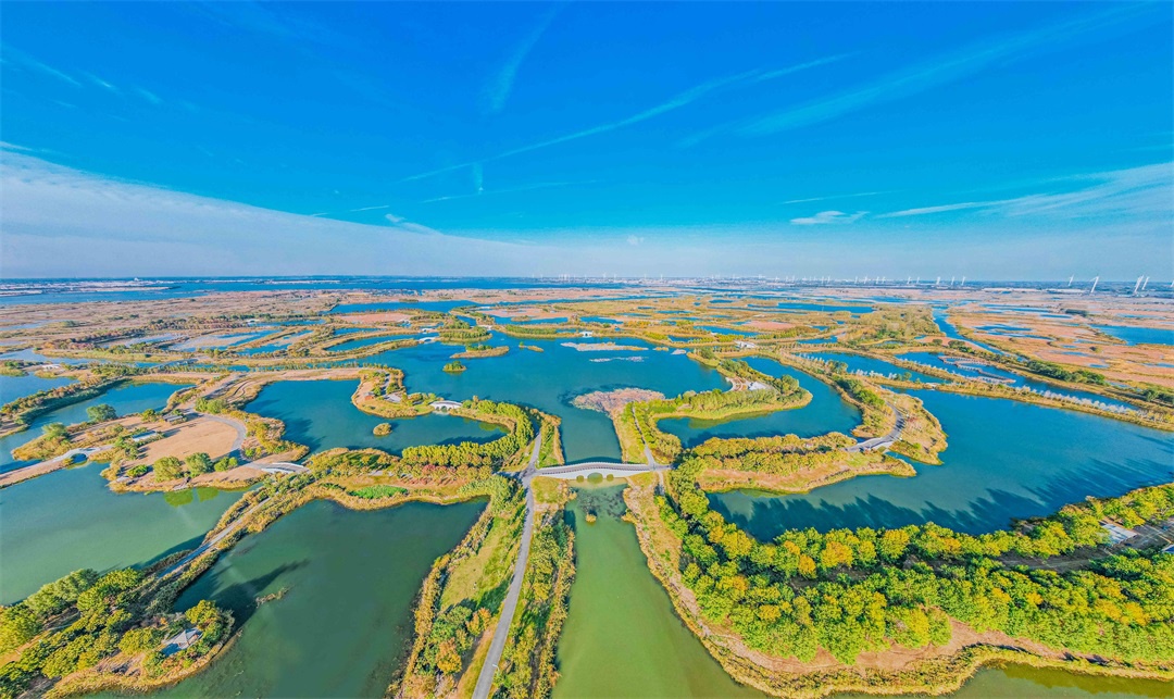 Top1����רҵ������Ѷ����������ƽ̨