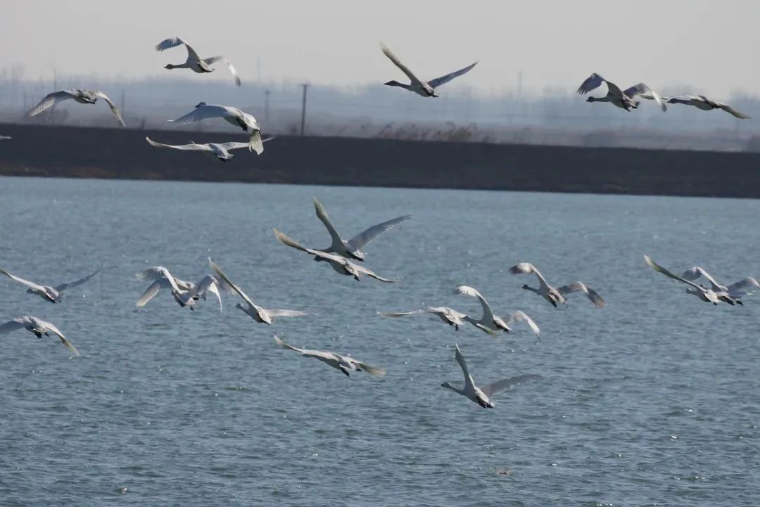 Top1ÌåÓýרҵÌåÓý×ÊѶÓëÈüÊÂÆÊÎöƽ̨