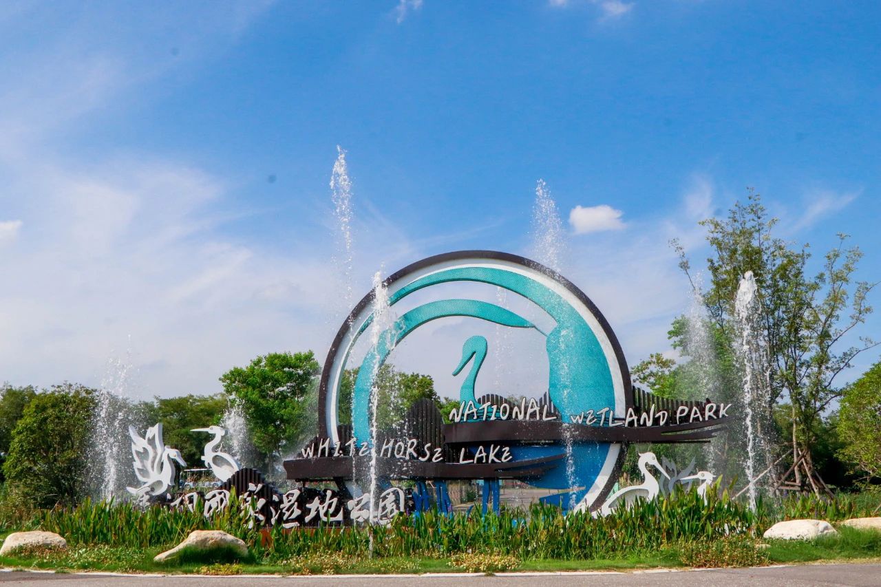 Top1����רҵ������Ѷ����������ƽ̨